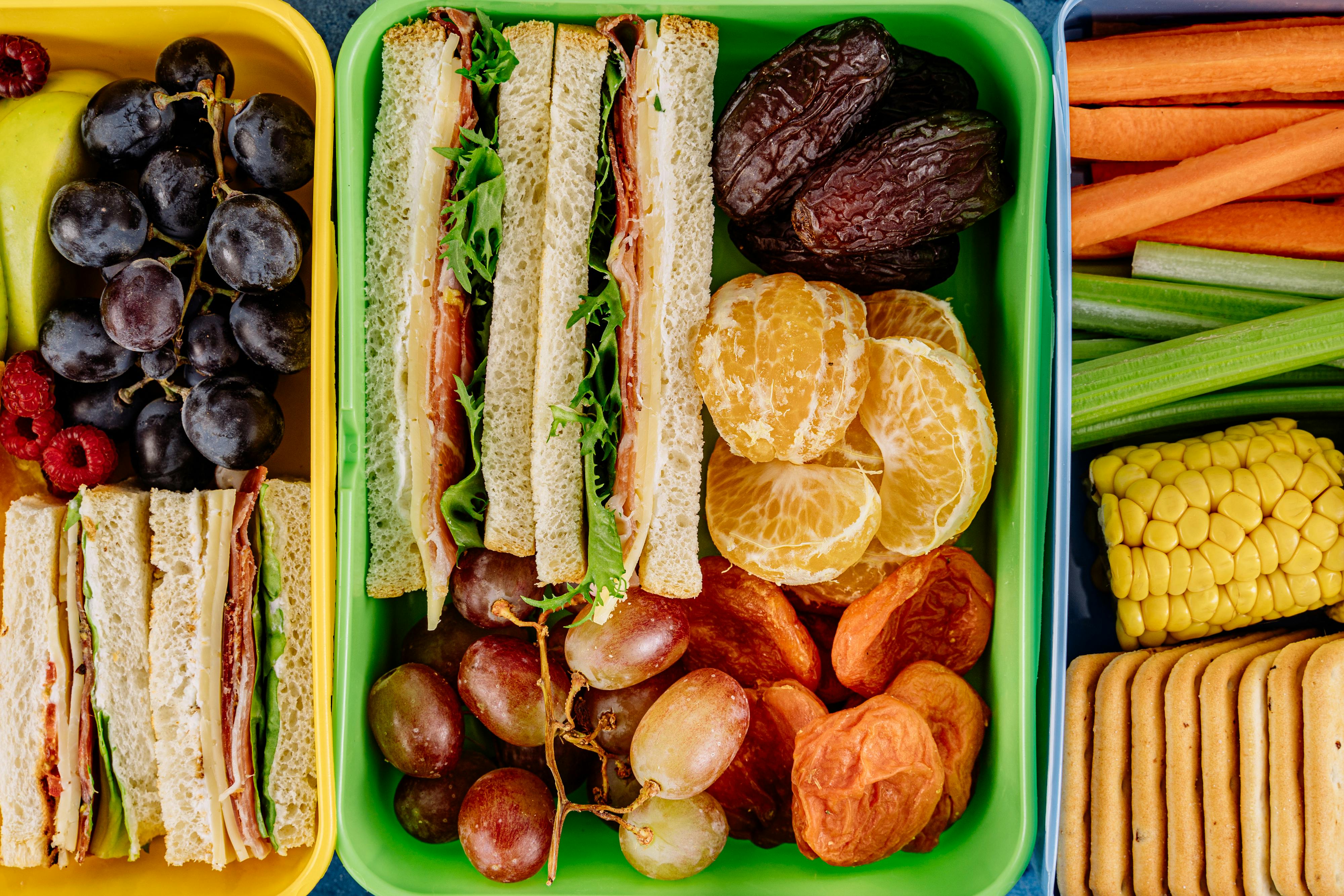 Toddler Meal Ideas