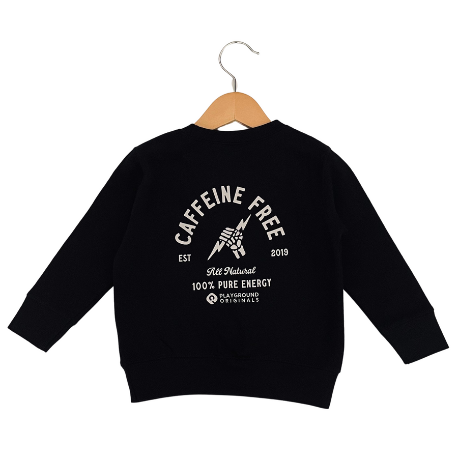 toddler boys sweatshirt, toddler boys clothing, toddler boys style, caffeine free, Playground Originals