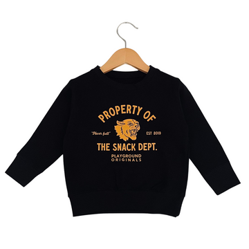 toddler boys sweatshirt, toddler boys clothing, toddler boys style, property of the snack dept, Playground Originals