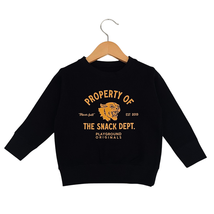 toddler boys sweatshirt, toddler boys clothing, toddler boys style, property of the snack dept, Playground Originals
